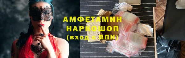 мдпв Туринск