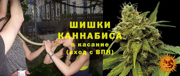 spice Беломорск