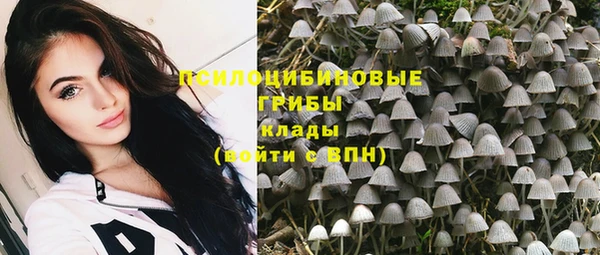 молекула духа Балабаново
